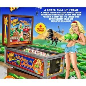 Whoa Nellie Big Juicy Melons Flyer Original Pinball Machine Sexy Lady Risque
